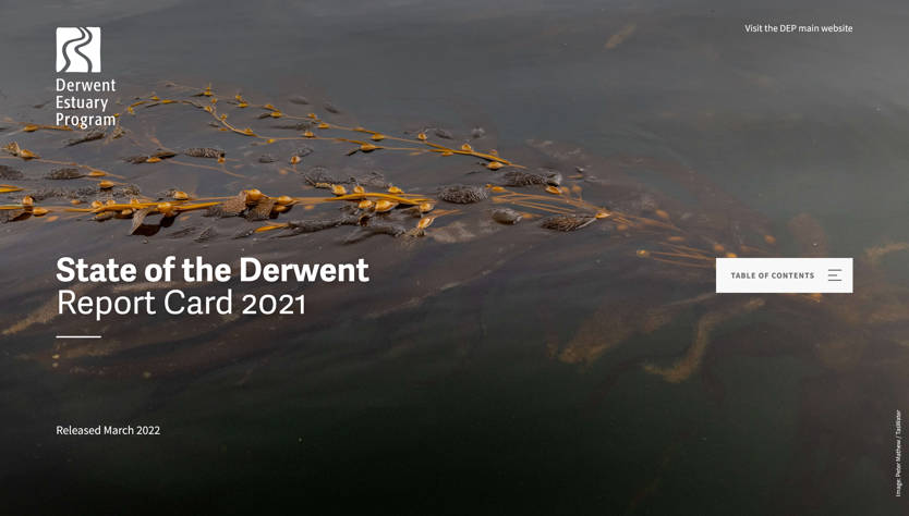 State of the Derwent Report Card 2021 website